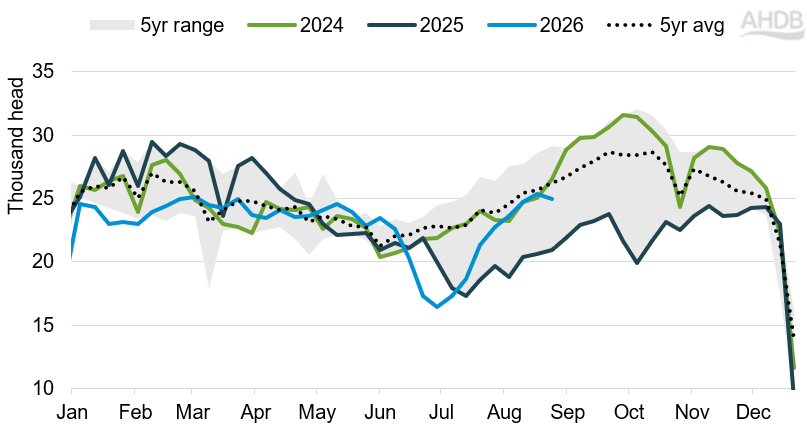 Irish weekly prime cattle kill 2024,2025,2026, and 5 year average and range.